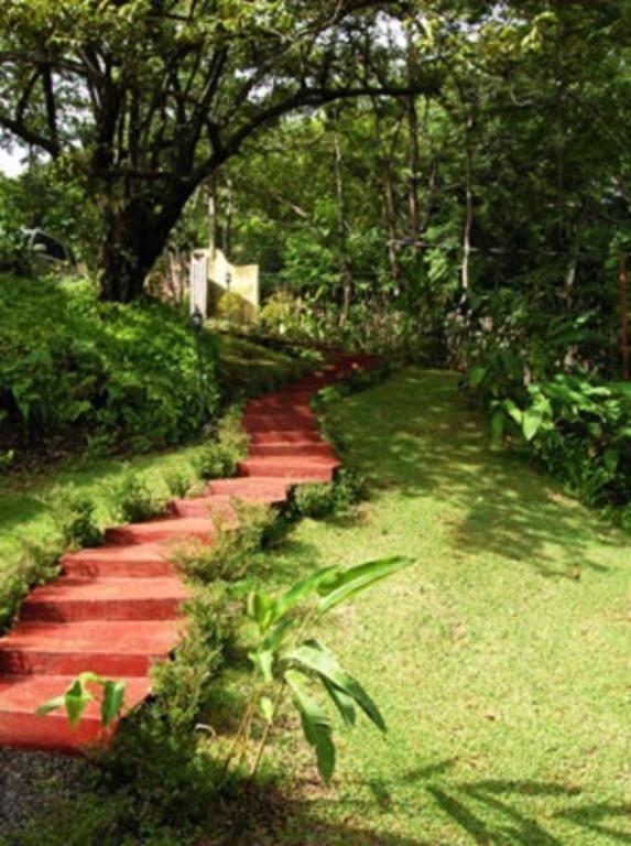 Amatierra Retreat And Wellness Center Hotel Bolson Buitenkant foto
