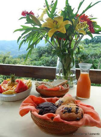 Amatierra Retreat And Wellness Center Hotel Bolson Buitenkant foto